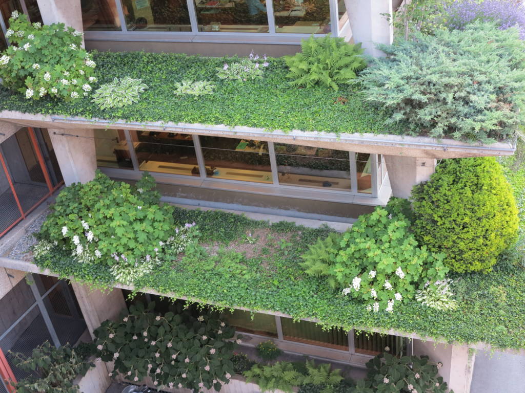 L'ufficio più bello di Milano? Un giardino pensile sui tetti della città