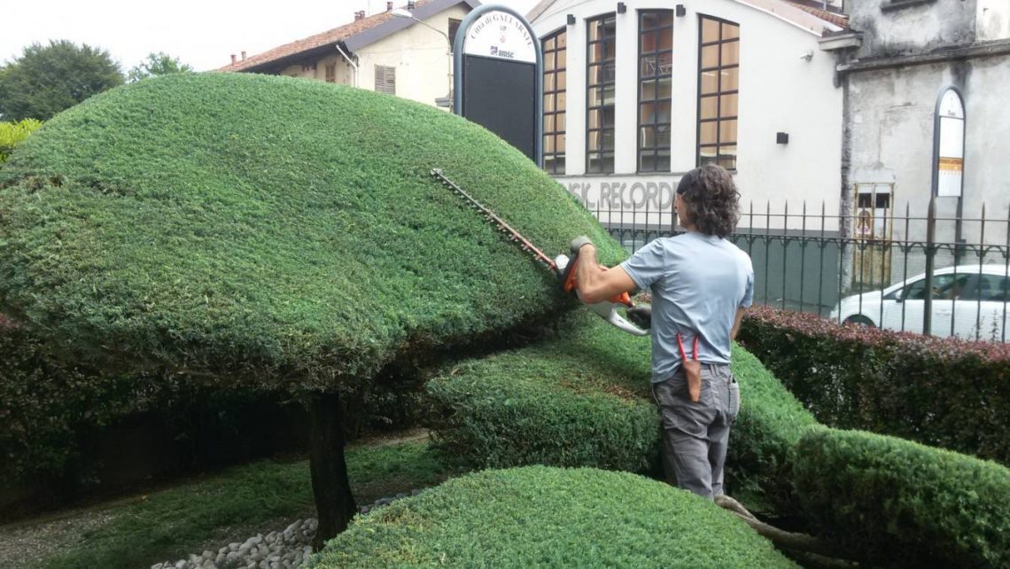 Come si esegue la manutenzione dell'impianto di irrigazione? - Il tuo  giardiniere a MilanoIl tuo giardiniere a Milano